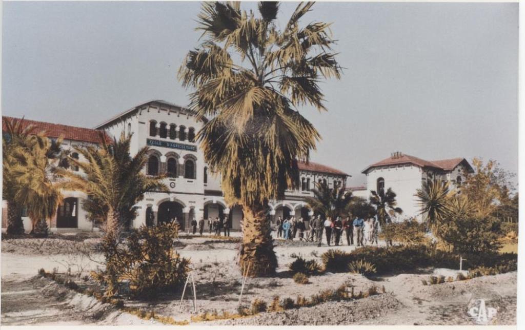 AIN TEMOUCHENT L ECOLE D AGRICULTURE.JPG